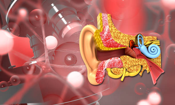 Personalized Hearing Care Solutions at Sounds Good Hearing Care Coimbatore